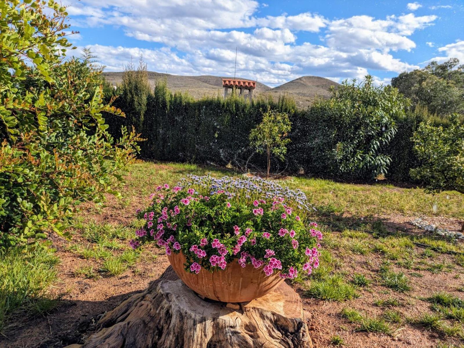 TurísBuen Estar, Piscina, Barbacoa, Jacuzzi En Valencia别墅 外观 照片